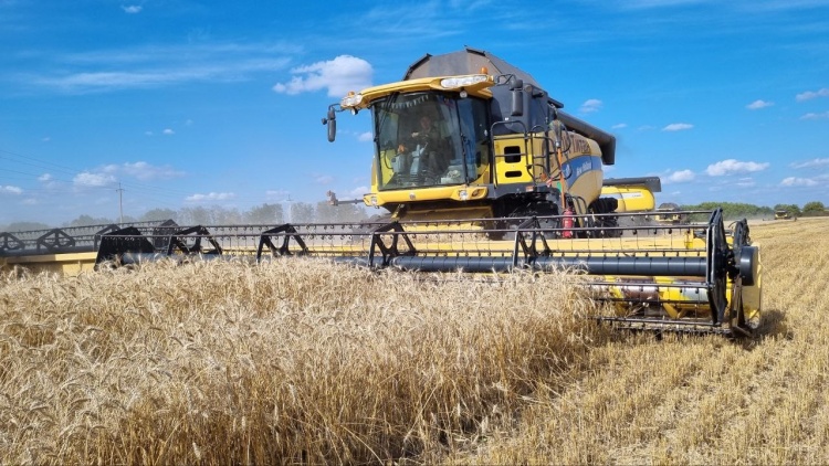«ПРОДО Зерно» выполнило более 60% плана уборочной кампании