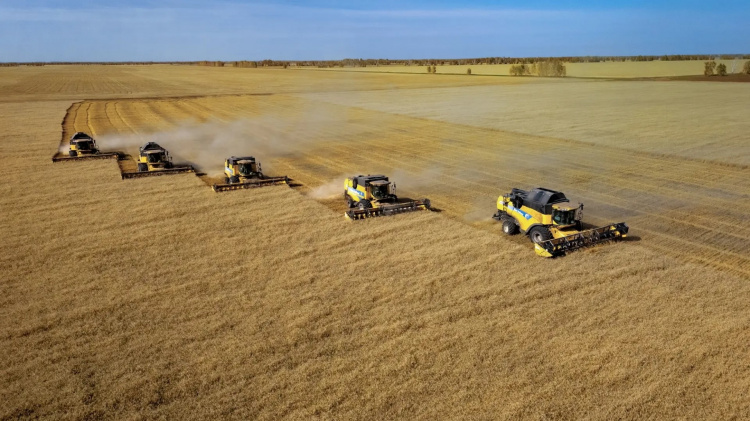 Группа «ПРОДО» завершила оцифровку земельного банка в Омской области