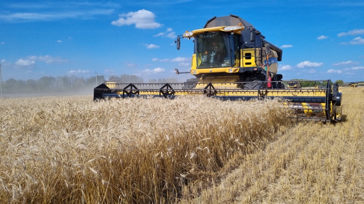 На полях «ПРОДО Зерно» стартовала уборочная кампания