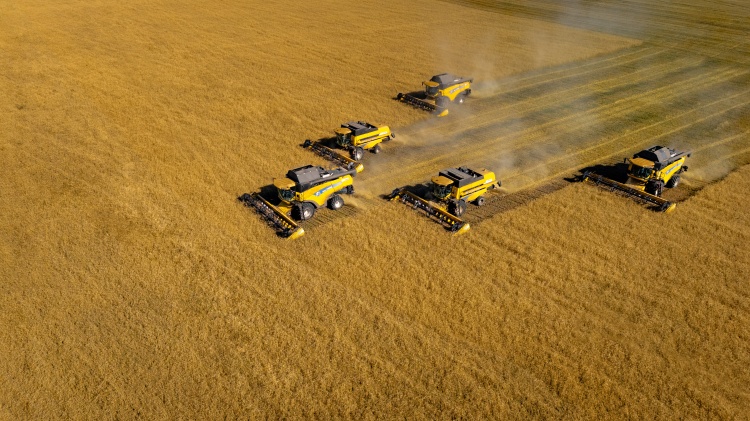 Растениеводческое предприятие Группы «ПРОДО» нарастило показатели урожайности 