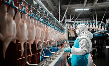 «ПРОДО Тюменский бройлер» подтвердил соответствие международным стандартам пищевой безопасности